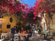 This is my photo that is similar to yours. Taken last May. Everywhere you turn there is bougainvillea!