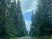 Hwy 101 on the way to Lake Quinault