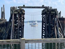 I like this shot, what can I say