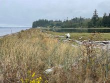 Stopped at a turnout on Gardiner Beach Rd. A little clearer