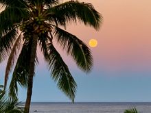 The harvest moon!