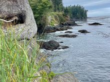 Another view from our hike.