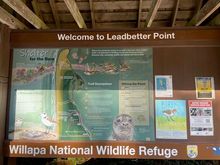 Leadbetter Point is the furthest point on the Peninsula