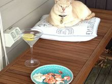 Claude’s party trick