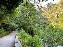 Lush valley 