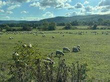 More typical Romanian countryside in Transylvania 