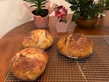 I baked some sour dough for sandwiches on the trip before we left.