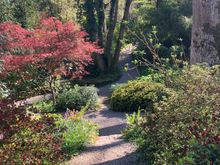 Plas Cadnant - valley garden