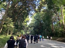 Walking along the path to the shrine. It’s about a 10-minute walk. 