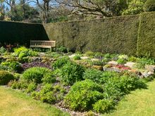 Caerau Gardens - corner of flower garden 