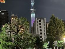 Tokyo Tower from the temple grounds