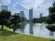 The park is very large and this pond is fed by the tidal waters