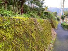 Walking along the road 