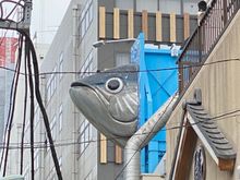 The fish market, where else?