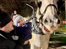 Even the horse is smiling!