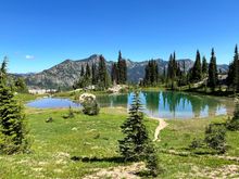 View seen on Naches Loop trail (not pictured, 10 gazillion mosquitoes)
