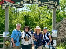 The famous boardwalk, where the colorful warblers are often at eye level and in close range (ridiculously rare everywhere else) before crossing Lake Erie. The locals say the bird quantity has been down the last two years, but compared to a slow migration season in St. Louis, it was heavenly! Photos, of course, to eventually show up on the bird thread.