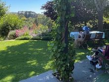 Coffee and cake in the gardens