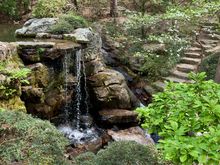 Got in 13,000 steps in a little less than three hours walking all kinds of trails.