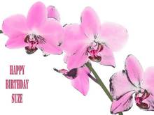 Have a Great Day and Many More to Come 