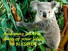 And  a Happy Birthday Mate !!