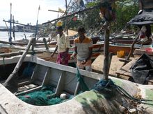 Fishing boats