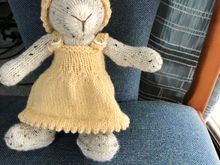 Jay wanted a girl rabbit. Same rabbit different outfits!!!