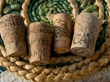 On the window ledge of our Dorsoduro rental. 