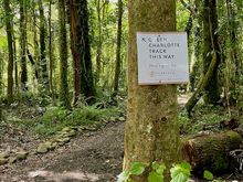 Entry point for the Queen Charlotte Track at Furneaux Lodge.