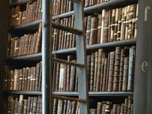 The stacks at Trinity