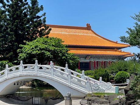 Bridge in the garden, the National Concert Hall in the back.