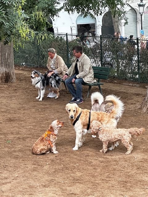 I lo=ed the dog park