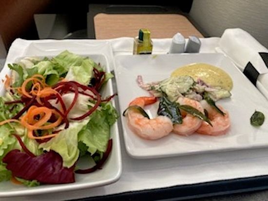 American Airlines flight starter 