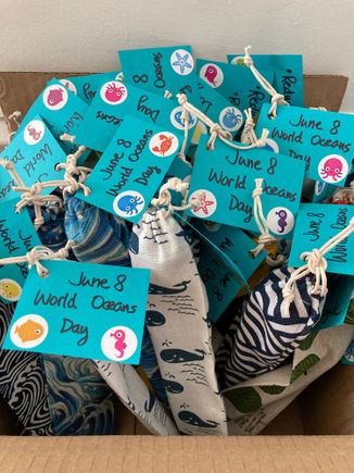 Pouches with reusable straws and straw cleaners inside. Ready to bring to school in June 8