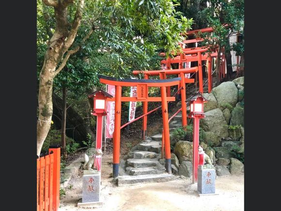 Torri gates up the hillside