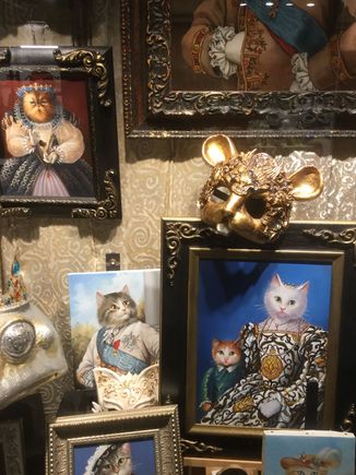 I liked Sassys Venetian picture so much , I wanted to add one of mine. I always take pictures of cats when I go on vacation. I have so many Ziggy. This is a lovely window display in Venice. 