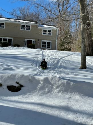 A bit of joy from my walk...