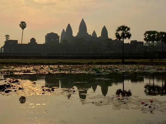 Angor Wat 2018