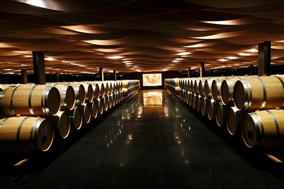 Wine cellar