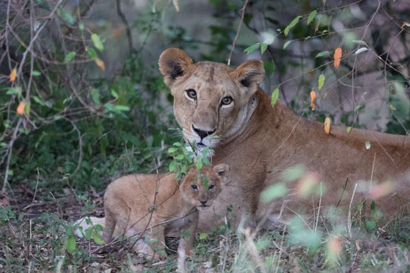 keep moving. nothing to see here.