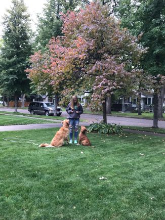 Pay attention, puppies. The daughter does a great job training. Also, who knew Crocs would become popular again? She had the same pair and color when she was four years old. 