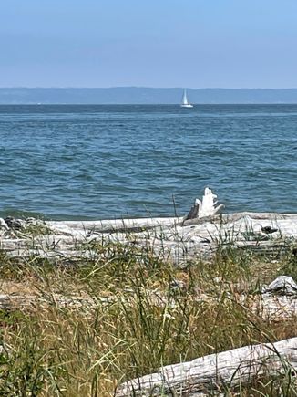 My beach. Point No Point.  I like to do my walking here. 