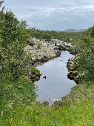 A serene spot in a woodlands hike. 