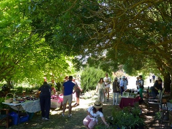 Stalls for produce and cuttings