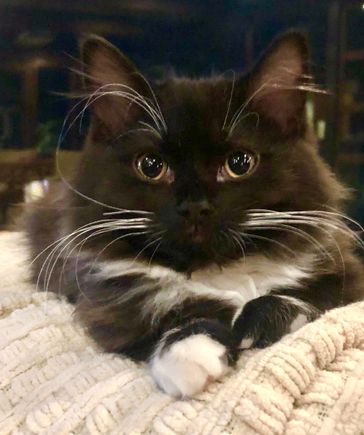 The camera loves Alice