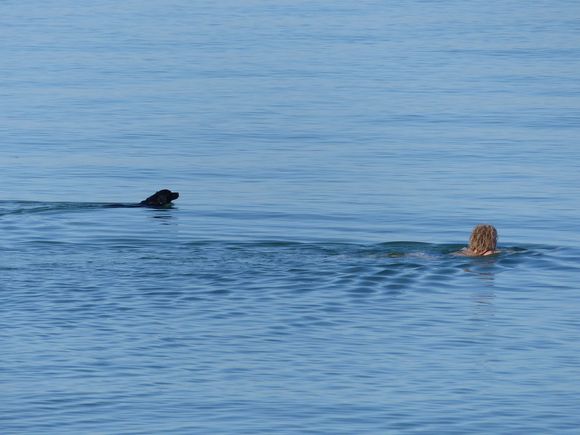 Swimming with his dog