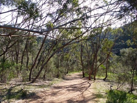 Heading down to the creek