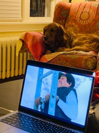 Current situation: a dog and Christmas Vacation. 