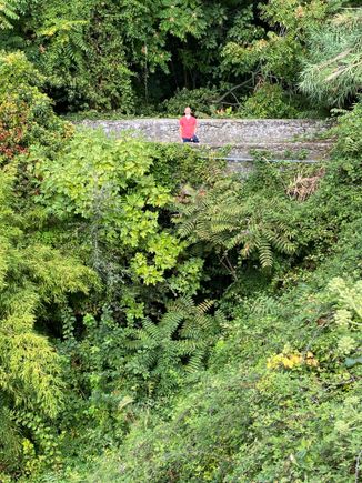 So lush it’s almost tropical 