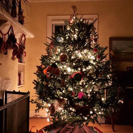 A tree from a Christmas past. Still need to get this year’s tree.